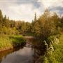 Whitemud Park