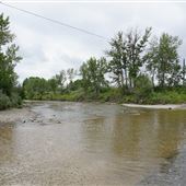 Millarville River Ford