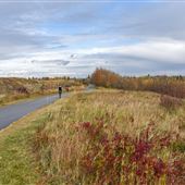 Whitemud Ravine (May Crescent)
