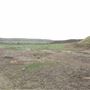 Hodgson Property
