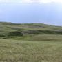 Top Grass Ranch
