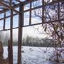 Sherwood Park Virgin Land