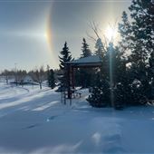 Mill Woods Park (Winter)