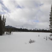 Buller Mountain Day Use Area