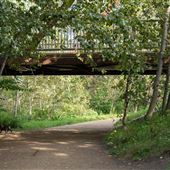 Buena Vista Park