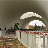 Anthony Henday Wildlife Underpass