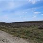 Dinosaur Park Badlands