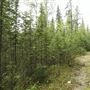 David Thompson Highway