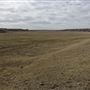 Siksika Nation