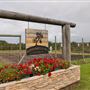 Sunnybrook Hill Orchard