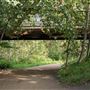 Buena Vista Park