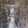 Mackenzie Ravine