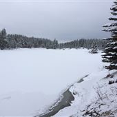 McLean Pond