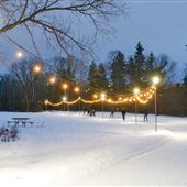 Victoria Park Iceway