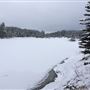 McLean Pond