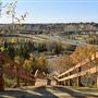 Whitemud Ravine (Fox Drive - 56th Avenue)