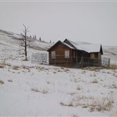 Albertina Farmhouse Set