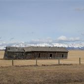 Abandoned Farm Cowley AB
