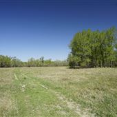 Mercer Farm