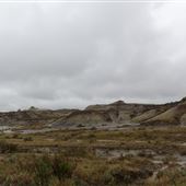 Dinosaur Provincial Park