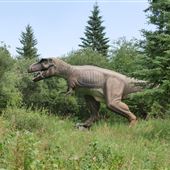 Jurassic Forest
