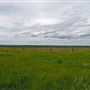 Albertina - Western Town