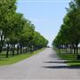 Highfield Stock Farms