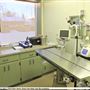 Westmount Animal Clinic
