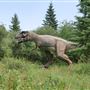 Jurassic Forest
