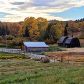 Aspen Creek Farm