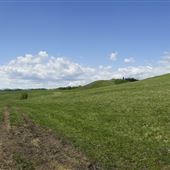 Millarville Ranch 03