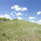 Millarville Lease Land