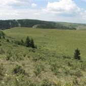 Wearmouth Ranch