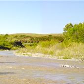 Willow Creek Provincial Park