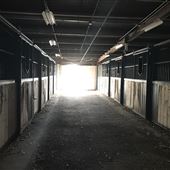 Calgary Stampede Barns