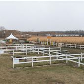 Edmonton Corn Maze