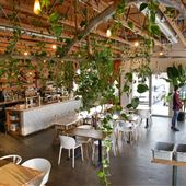 The Moth Cafe