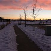 Pylypow Constructed Wetland