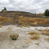Whitemud Ravine (McTaggart South Trail)