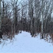 River Lot 56 Natural Area