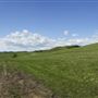 Millarville Ranch 03