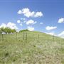 Millarville Lease Land