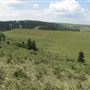 Wearmouth Ranch