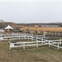 Edmonton Corn Maze
