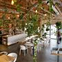 The Moth Cafe