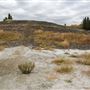 Whitemud Ravine (McTaggart South Trail)