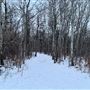 River Lot 56 Natural Area